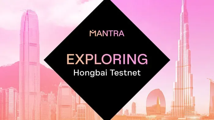 Explorando a Cadeia MANTRA Hongbai Testnet: Uma Visão Geral Abrangente